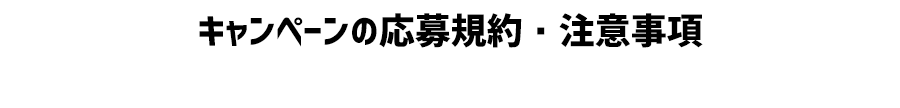 キャンペーンの応募規約・注意事項