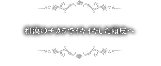 和漢のチカラでイキイキした頭皮へ