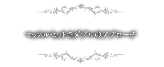 マッスルセットでダブルのアプローチ