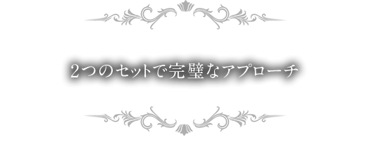 2つのセットで完璧なアプローチ