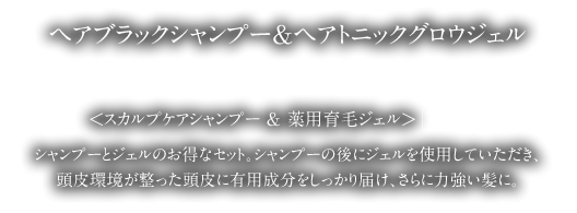 ヘアブラックシャンプー＆ヘアトニックグロウジェル　スカルプケアシャンプー＆薬用育毛ジェル（医薬部外品）　シャンプーとジェルのお得なセット。シャンプーの後にジェルを使用していただき、頭皮環境が整った頭皮に有用成分をしっかりお届け。さらに力強い髪に。