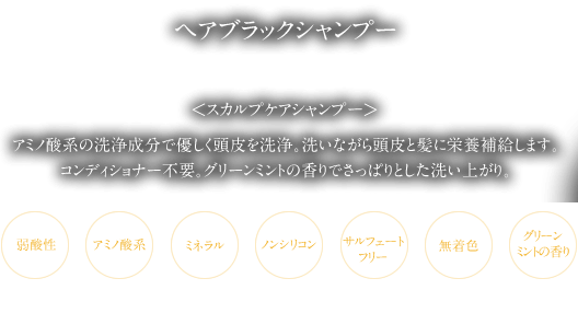 ヘアブラックシャンプー　＜スカルプケアシャンプー＞アミノ酸系の洗浄成分で優しく頭皮を洗浄。洗いながら頭皮と髪に栄養補給します。コンディショナー不要。グリーンミントの香りでさっぱりとした洗い上がり。弱酸性、アミノ酸系、ミネラル、ノンシリコン、サルフェートフリー、無着色、グリーンミントの香り