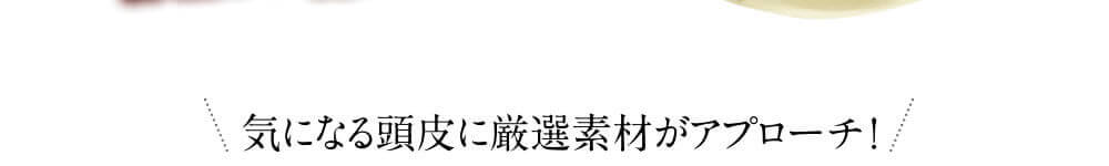 気になる頭皮に厳選素材がアプローチ！