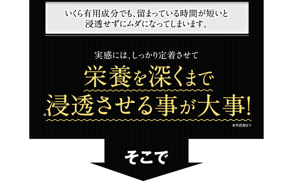 栄養を深くまで浸透させる事が大事！