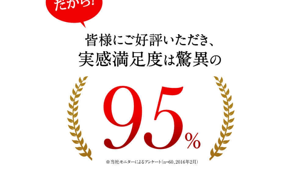 皆様にご好評いただき、実感満足度は驚異の95％