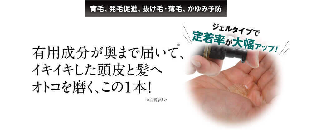 有効成分が奥まで届いて、イキイキした頭皮と髪へ男を磨く、この一本！