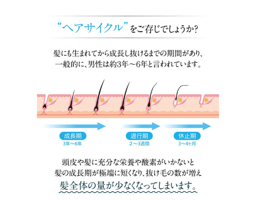 ヘアサイクルをご存知でしょうか？