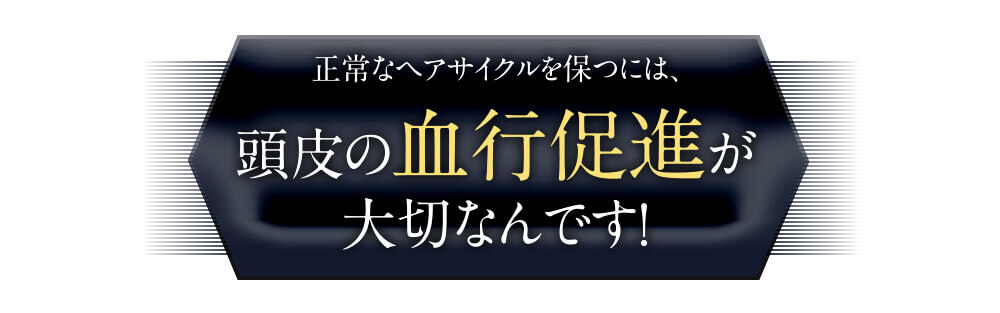 正常なヘアサイクルを保つには、頭皮の血行促進が大切なんです。