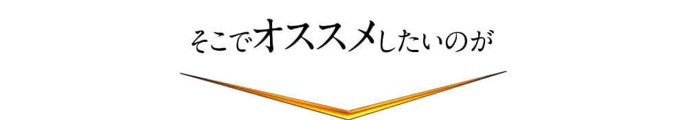 そこでオススメしたいのが